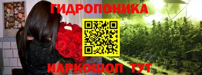 прущие грибы Севастополь