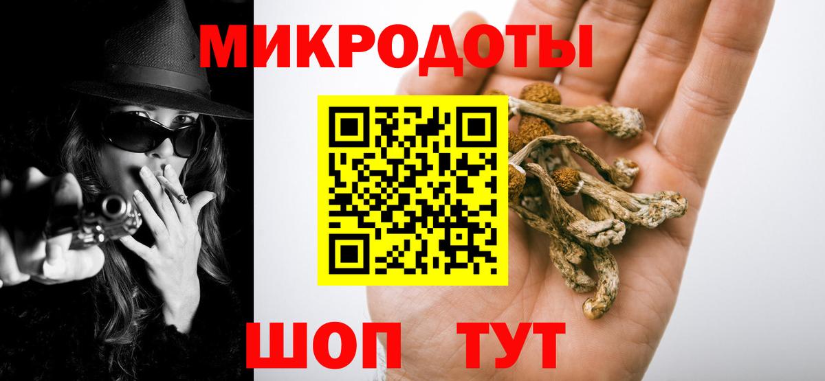 Сыктывкар  Галлюциногенные грибы GOLDEN TEACHER  Вход с VPN  Галлюциногенные грибы Psilocybe 