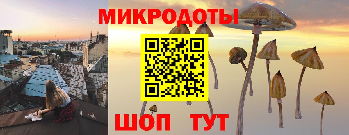 Галлюциногенные грибы GOLDEN TEACHER Сыктывкар